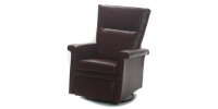 Swivel, Gliding and Power Reclining Chair Mia 2140-03