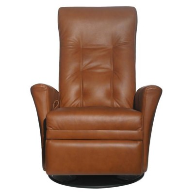 Swivel, Gliding and Power Reclining Chair Noemi 2910