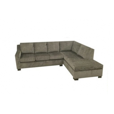 Acadia Sectionnal with Sofa Bed