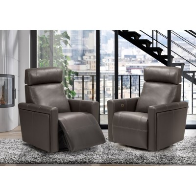 Swivel, Gliding and Power Reclining Chair 3050