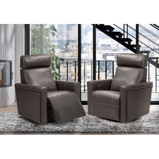 Swivel, Gliding and Power Reclining Chair 3050
